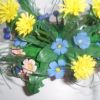 Кульбабки мої