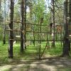 Лісовими стежками